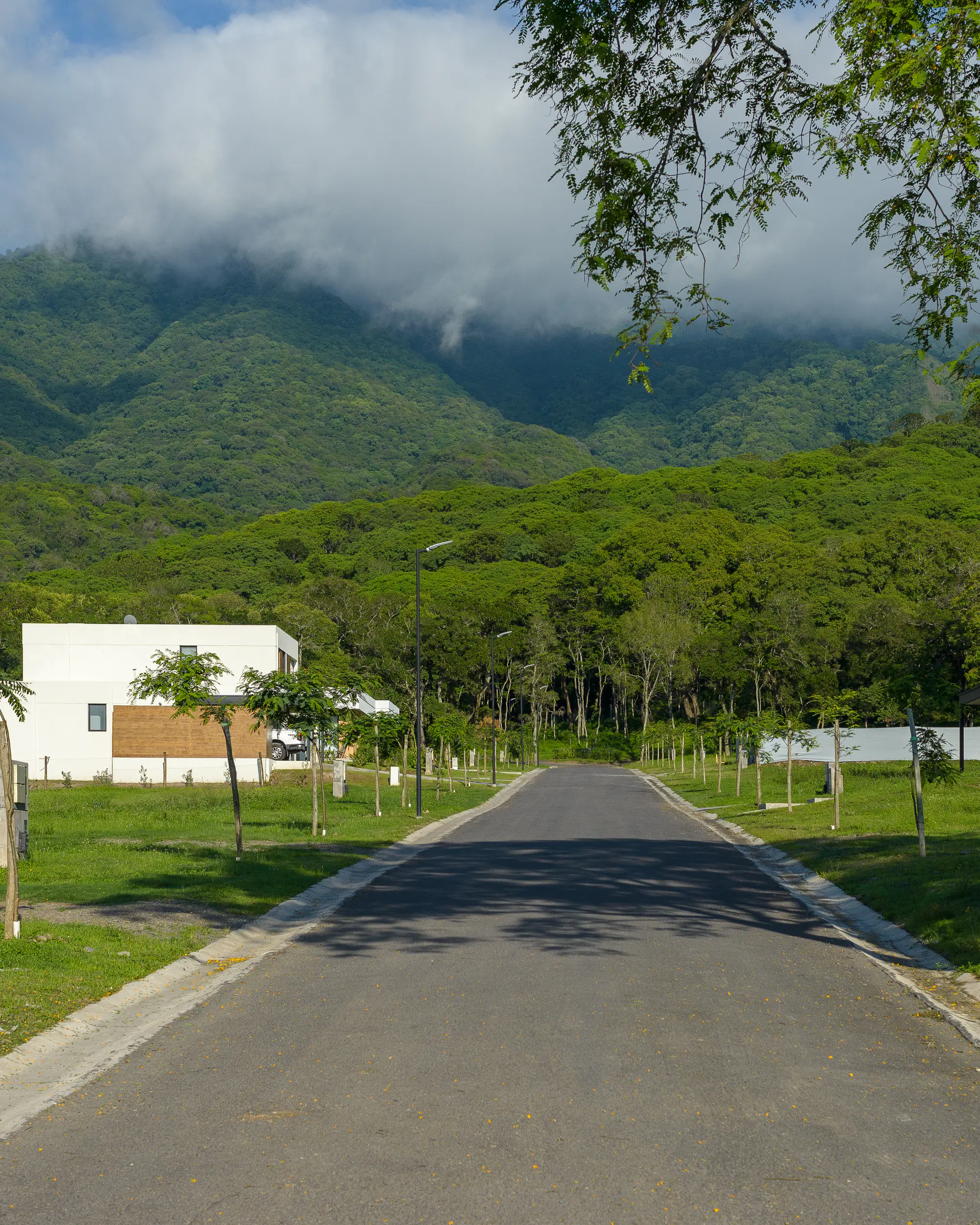 Calle interna de El Retiro que avanza entre lotes con pasto y árboles jóvenes, con una casa blanca a la izquierda y otra de techo oscuro a la derecha, y al fondo el cerro cubierto de monte bajo nubes