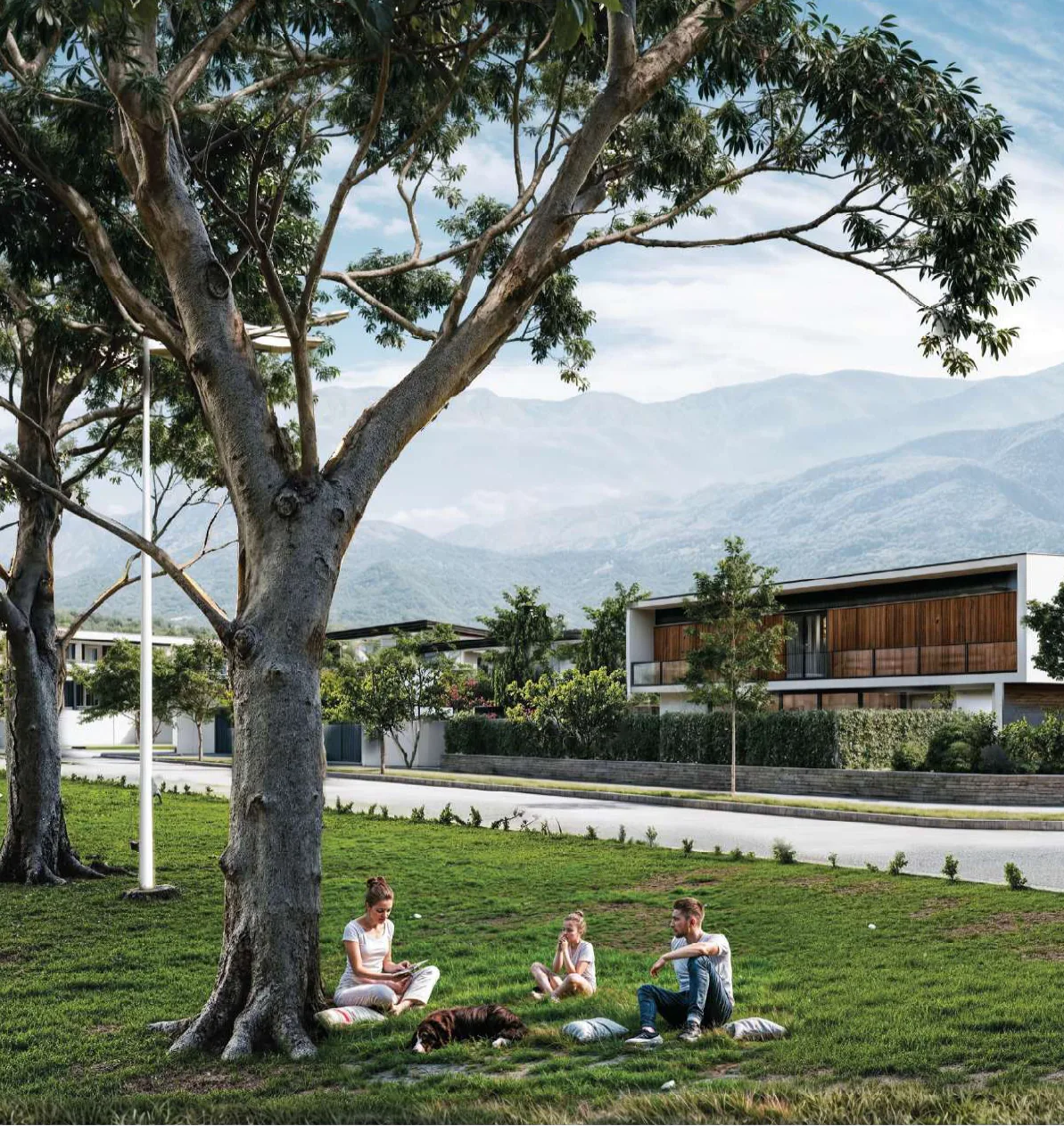 Un árbol grande sobre el pasto, una familia con un perro sentada en almohadones junto a un farol, y detrás casas blancas de dos plantas con listones de madera, un cerco verde, la calle y los cerros